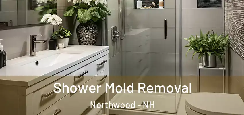  Shower Mold Removal Northwood - NH