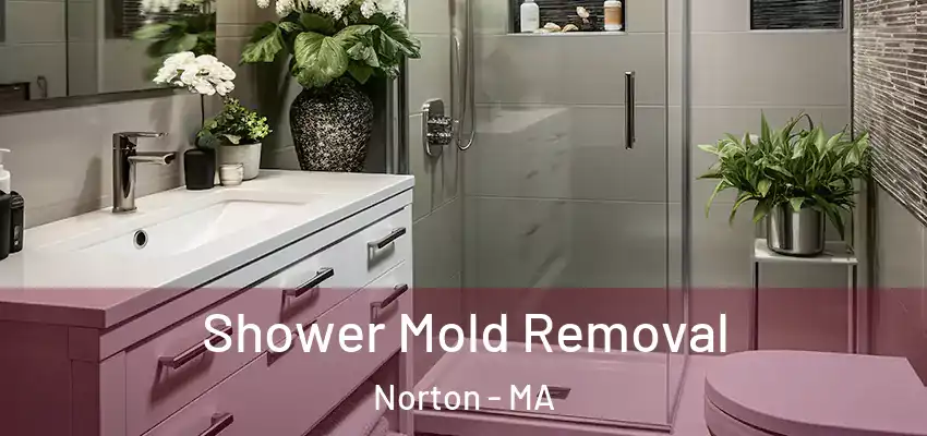 Shower Mold Removal Norton - MA