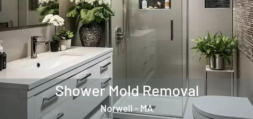  Shower Mold Removal Norwell - MA
