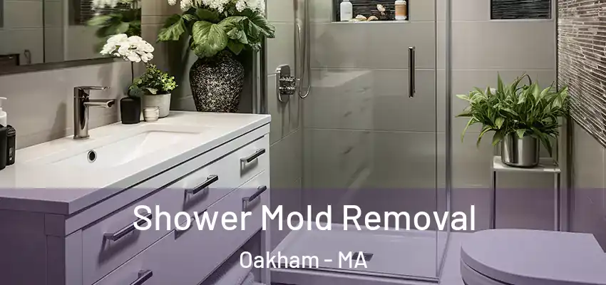 Shower Mold Removal Oakham - MA
