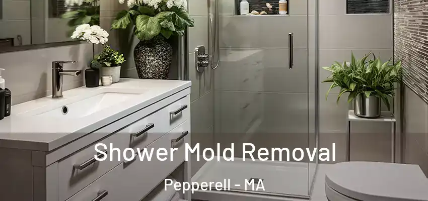 Shower Mold Removal Pepperell - MA