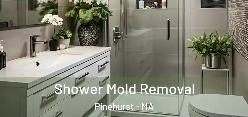Shower Mold Removal Pinehurst - MA