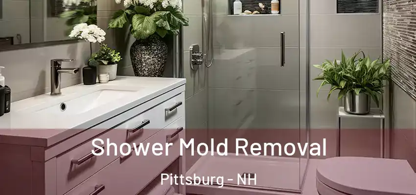 Shower Mold Removal Pittsburg - NH