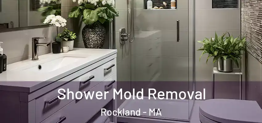 Shower Mold Removal Rockland - MA