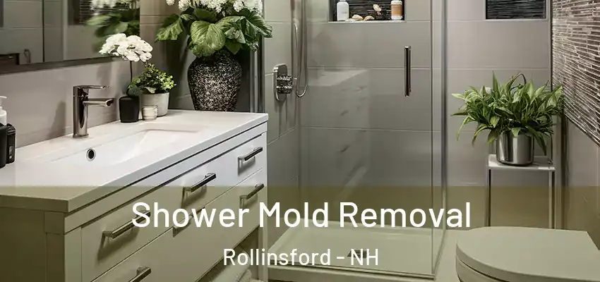  Shower Mold Removal Rollinsford - NH