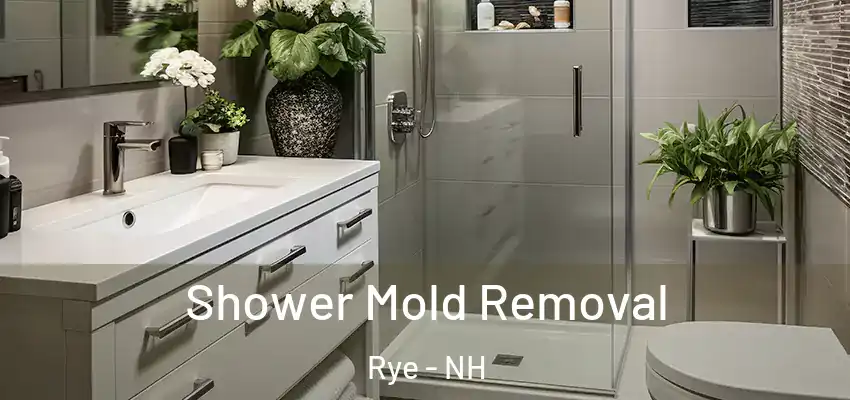 Shower Mold Removal Rye - NH