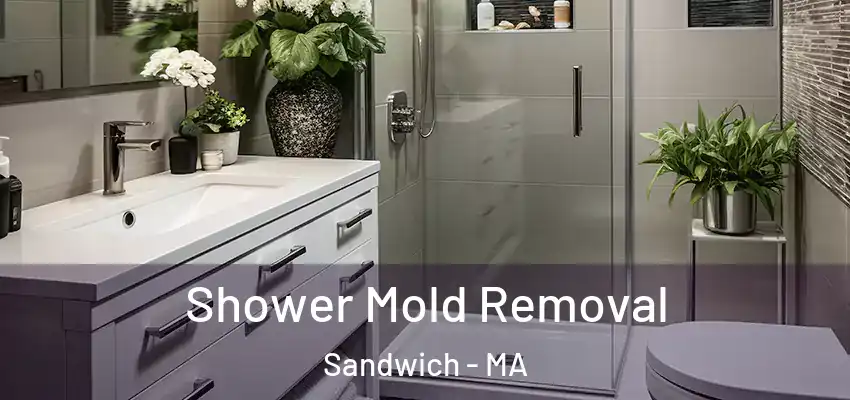 Shower Mold Removal Sandwich - MA