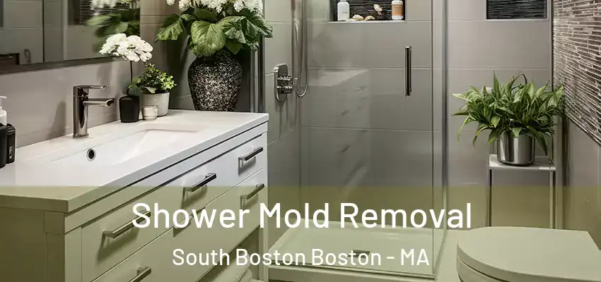 Shower Mold Removal South Boston Boston - MA