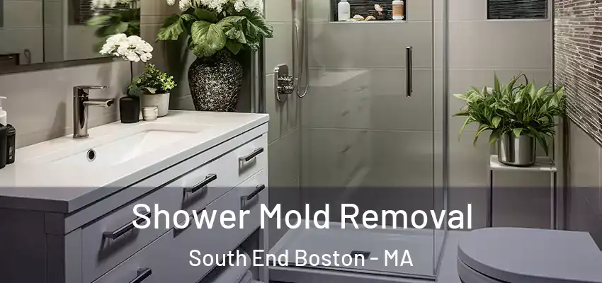  Shower Mold Removal South End Boston - MA