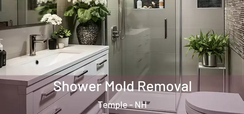  Shower Mold Removal Temple - NH