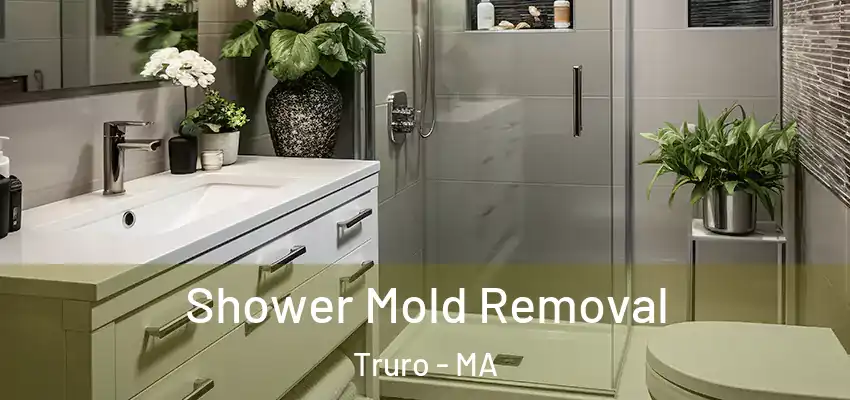 Shower Mold Removal Truro - MA