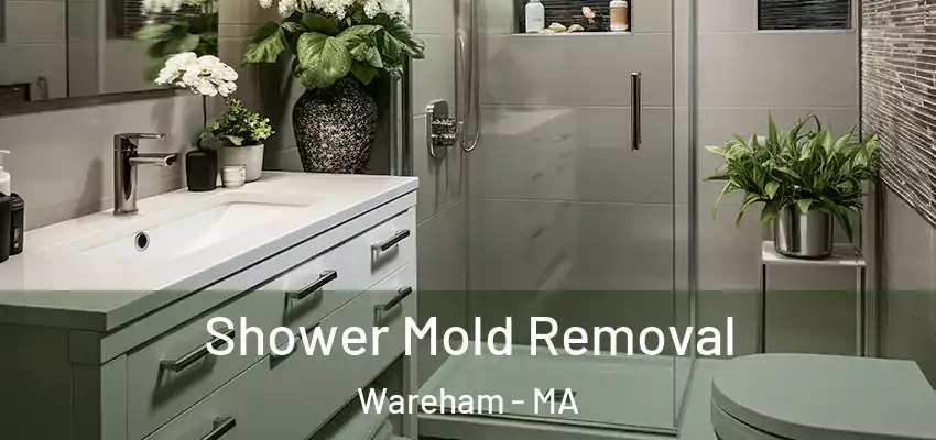 Shower Mold Removal Wareham - MA