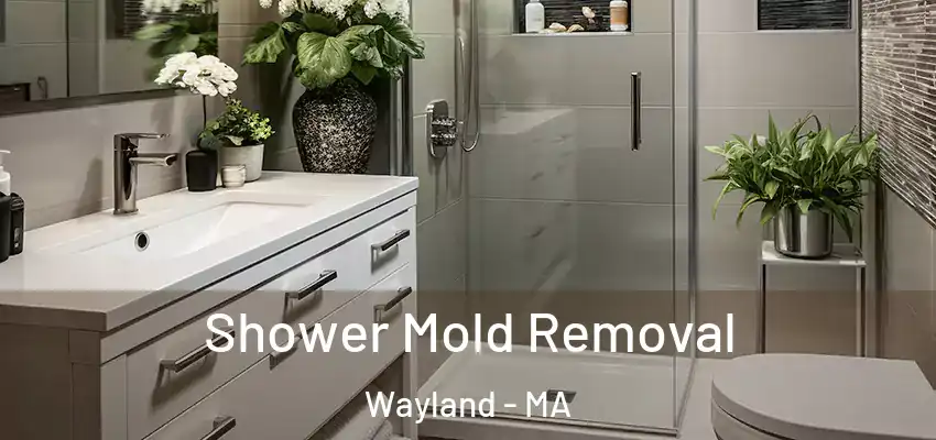 Shower Mold Removal Wayland - MA