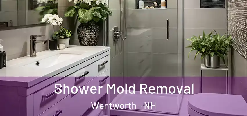 Shower Mold Removal Wentworth - NH