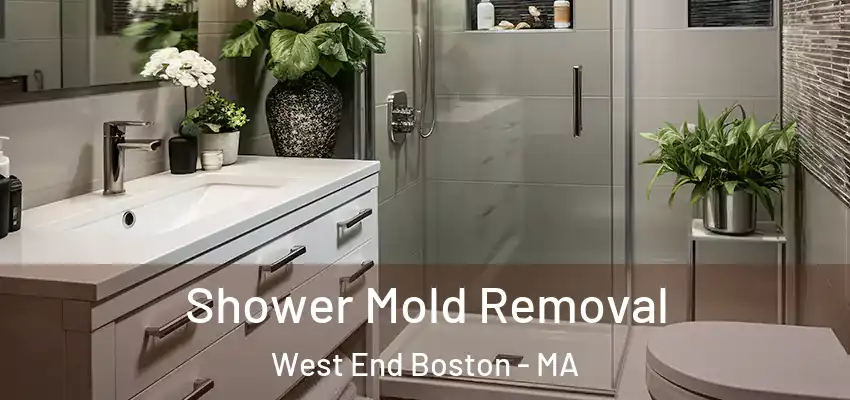  Shower Mold Removal West End Boston - MA