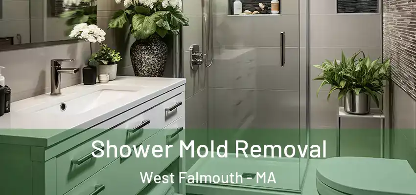 Shower Mold Removal West Falmouth - MA