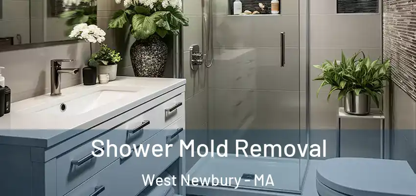  Shower Mold Removal West Newbury - MA