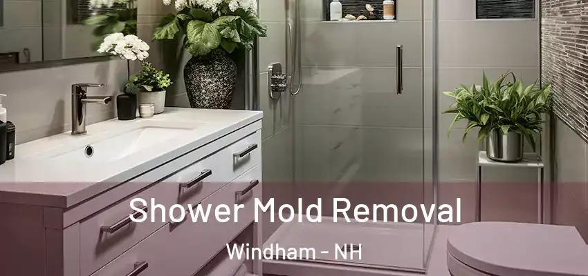  Shower Mold Removal Windham - NH