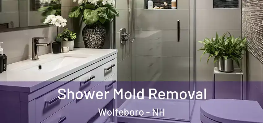 Shower Mold Removal Wolfeboro - NH